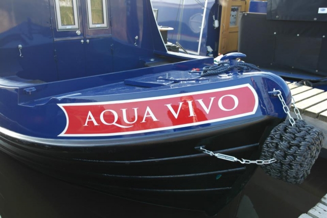  Aqua Vivo 